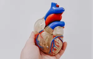 Coracao-cat Vitamina D3 + K2 + Cálcio - Ossos, dentes e imunidade